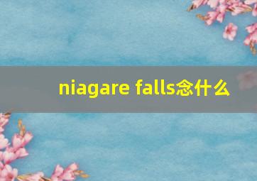 niagare falls念什么